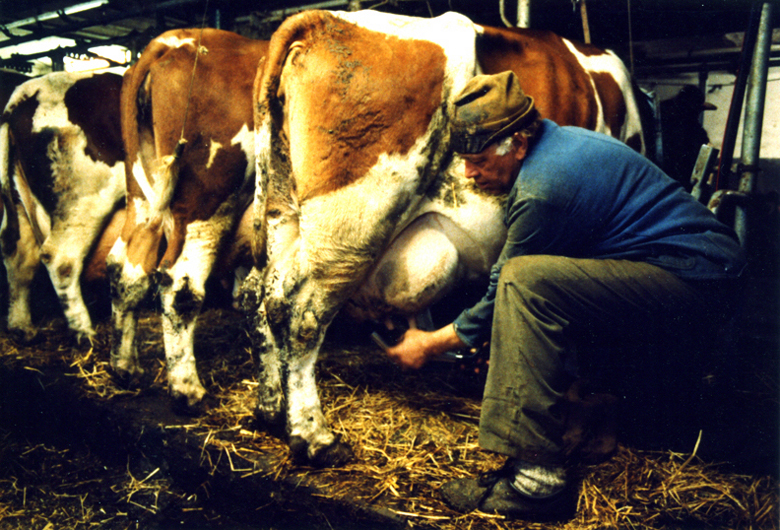 http://www.zaehring.com/files/gimgs/15_bauernhof05.jpg