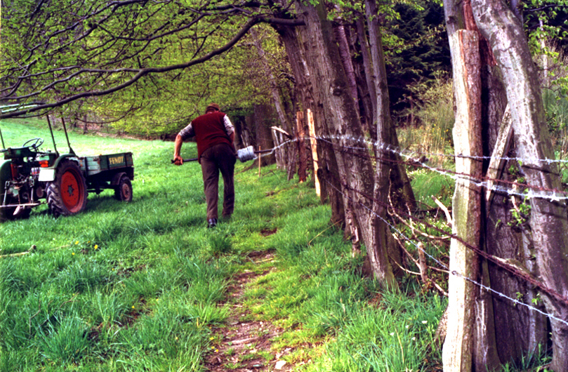 http://www.zaehring.com/files/gimgs/15_bauernhof13.jpg