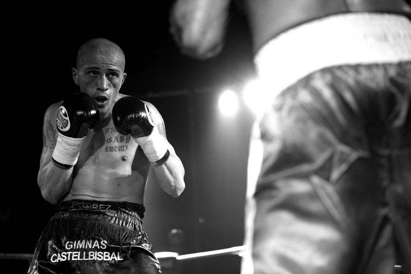 http://www.zaehring.com/files/gimgs/7_boxeo5.jpg